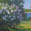 Lilacs Near The Sea