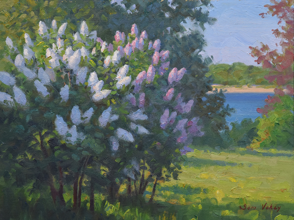 Lilacs Near The Sea